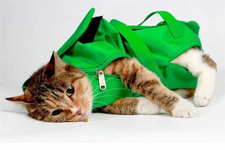 Sac à Dos De Voyage Pour Chat ou Petit Chien - Sac de Transport pour Chat