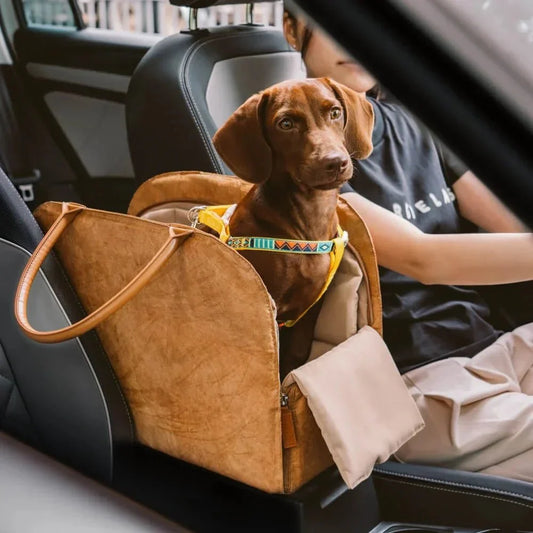 Sac de transport rigide en cuir durable pour chien et chat - Sac de Transport pour Chat