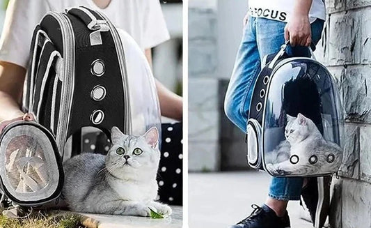 Sac de transport (à dos) pour chat et chien - Sac de Transport pour Chat