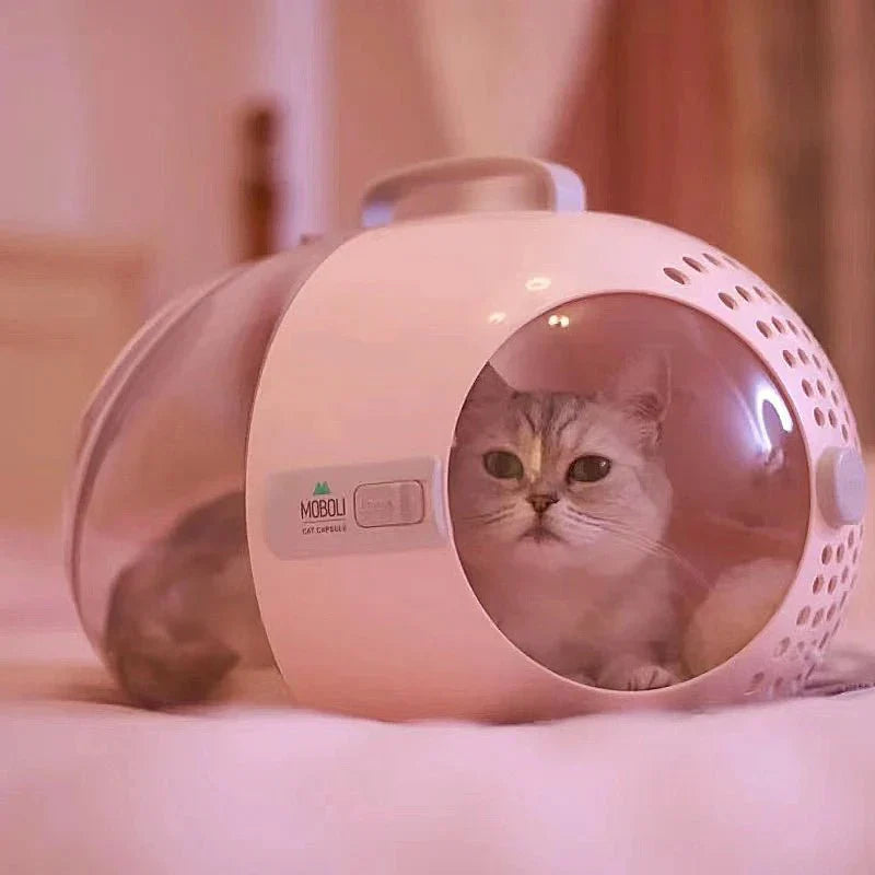 Sac capsule transparente et ventillée pour voyage chat - Sac de Transport pour Chat