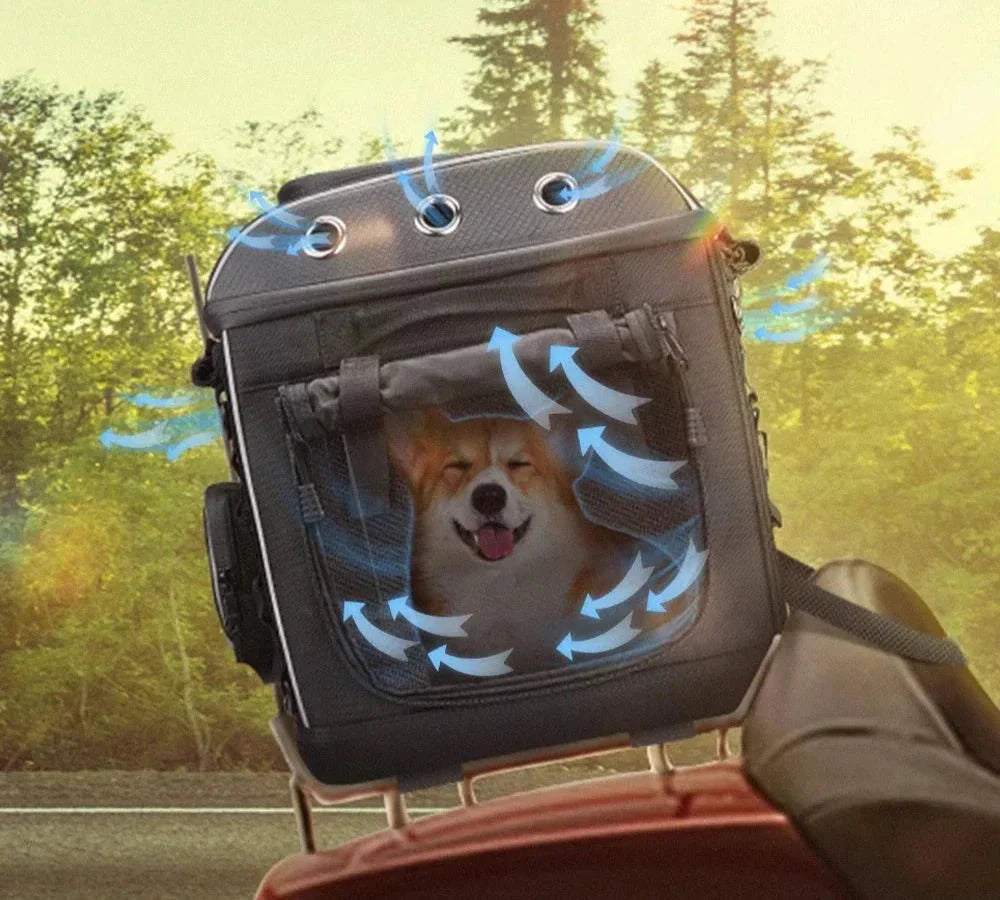 Sac De Transport Pour Chiens et Chats - Sac de Transport pour Chat