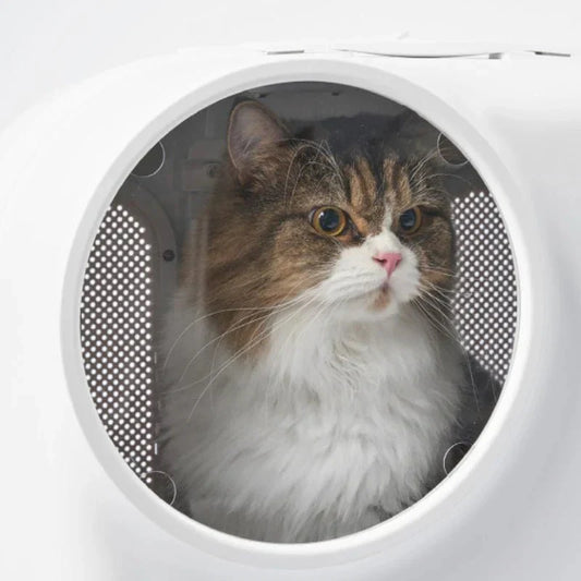 Valise à Roulettes Design Pour Chats - Sac de Transport pour Chat