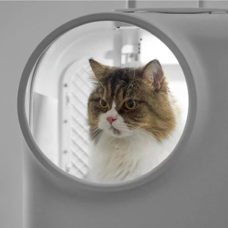 Valise à Roulettes Design Pour Chats - Sac de Transport pour Chat