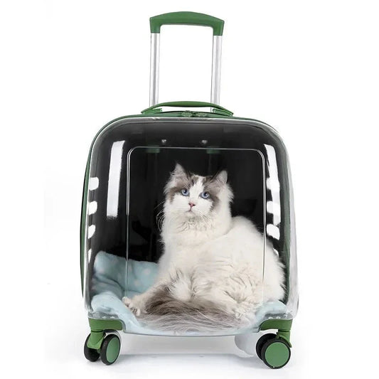 Valise à roulette transparente pour chat - Sac de Transport pour Chat
